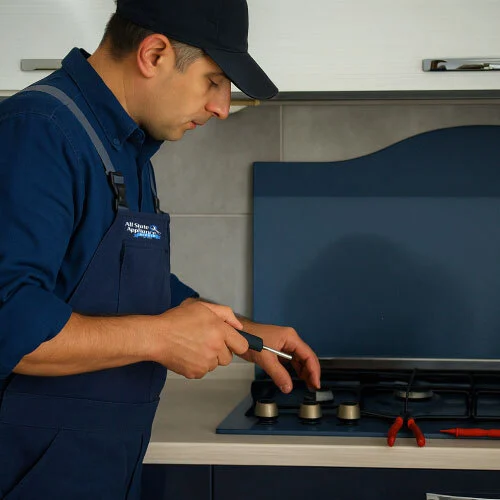 our mechanic is repairing stove professionally