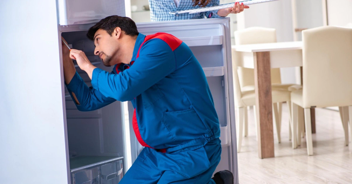 freezer repair maintenance guide